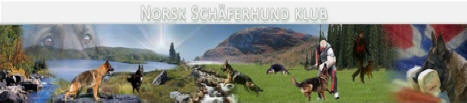 rt-headerbg