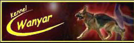 http://www.wanyar.com/